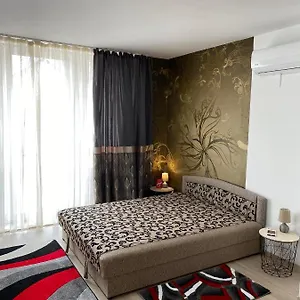 Danka Szallashely , Debrecen Magyarország